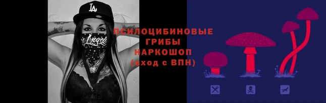 соль курить ск Арсеньев