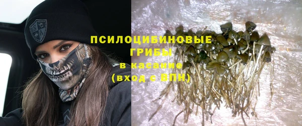 спайс Аркадак