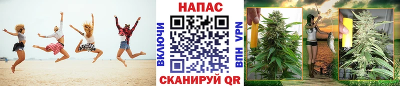 мега   хочу наркоту  Старая Русса  Бошки марихуана SATIVA & INDICA 